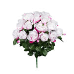 R.ROSAS GIGANTE (49026) *LILA