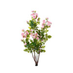 MATA CEREZO