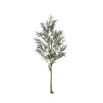 MATA OLIVO 1.60MT *V.OSCURO