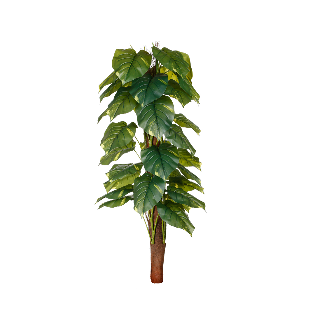 88100191-19.jpg MATA TUTOR PHOTO 1.20MT