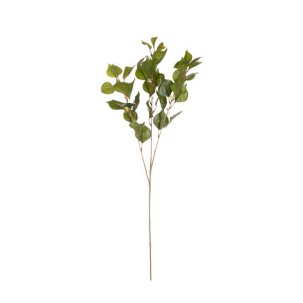 VARA HOJA LAUREL MINI SEMILLA