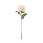 DALIA COLECCION TOSCANA