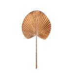 HOJA PALMA 54CM