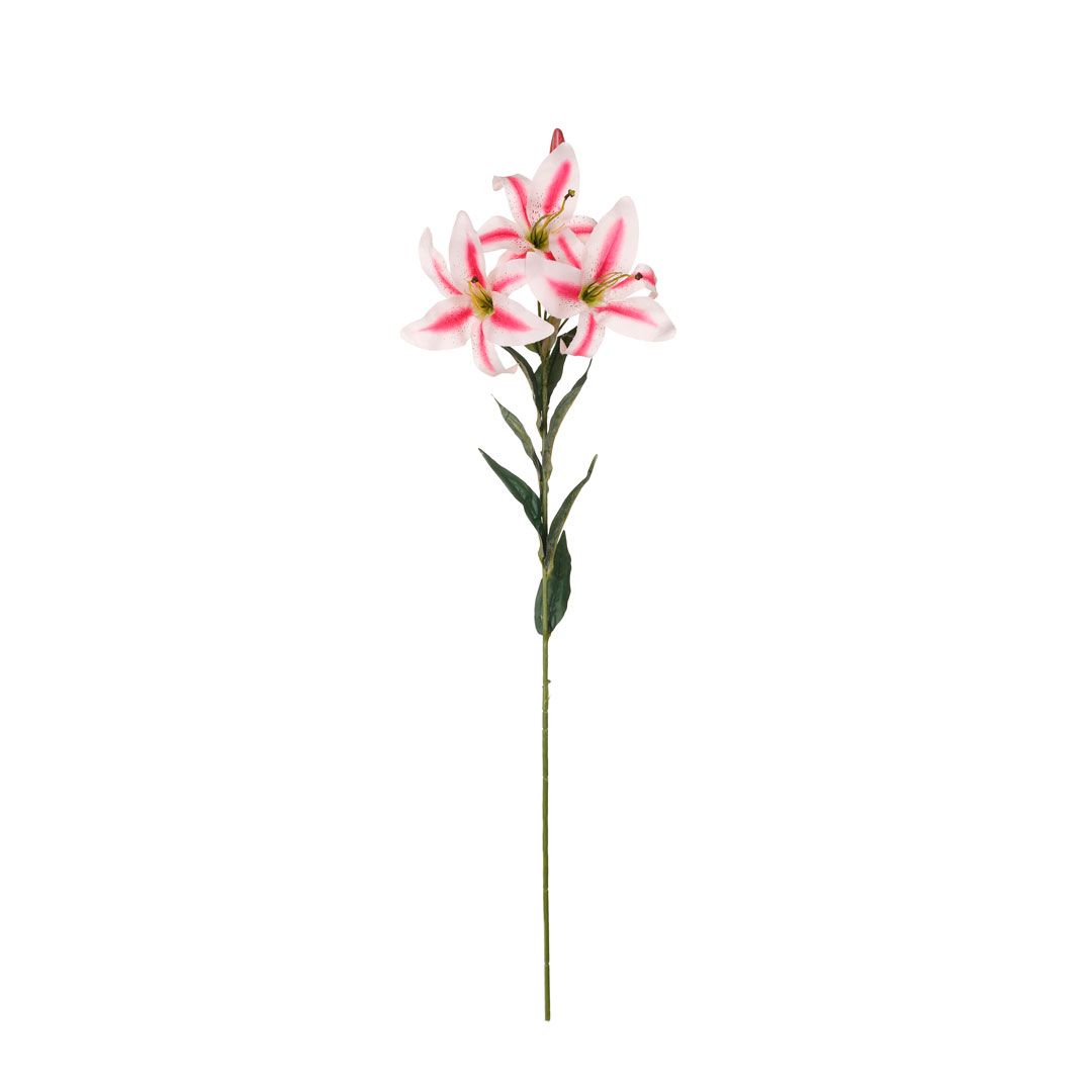 99001708-15.jpg V.LILIUM G. *FUXIA