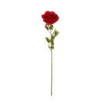 VARA ROSA
