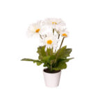 MACETA GERBERA *FUXIA