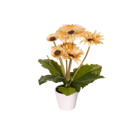 MACETA GERBERA *FUXIA