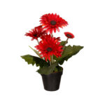 MACETA GERBERA *FUXIA
