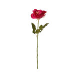 VARA ROSA *BURDEOS