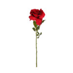 VARA ROSA