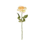 VARA ROSA