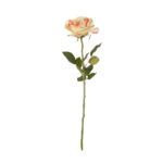 VARA ROSA