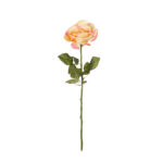 VARA ROSA