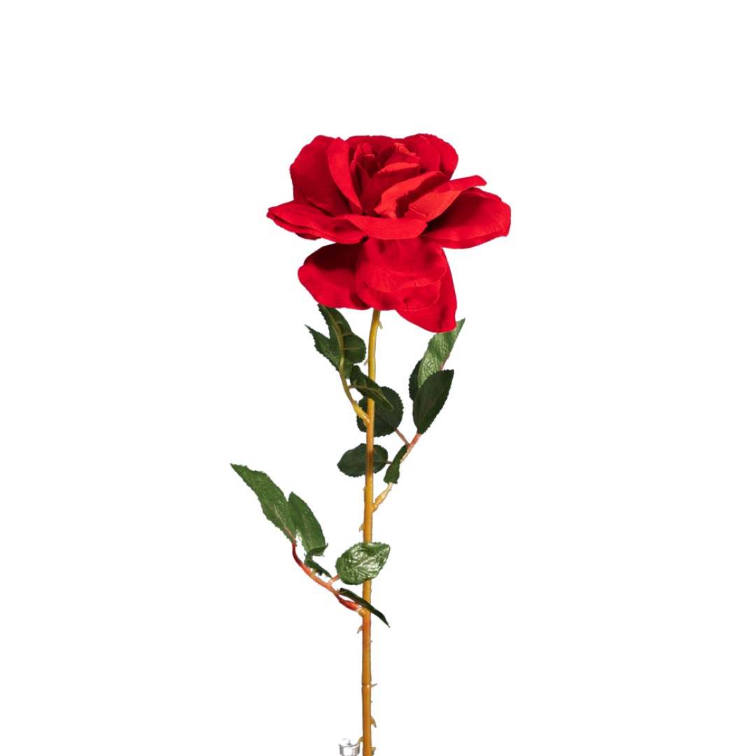 99001818.jpg V.ROSA TERCIOPELO