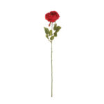 VARA ROSA AMERICA