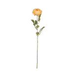VARA ROSA AMERICA