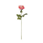 VARA ROSA