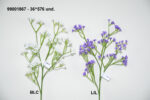 VARA GYPSOPHILA PRIMOLA