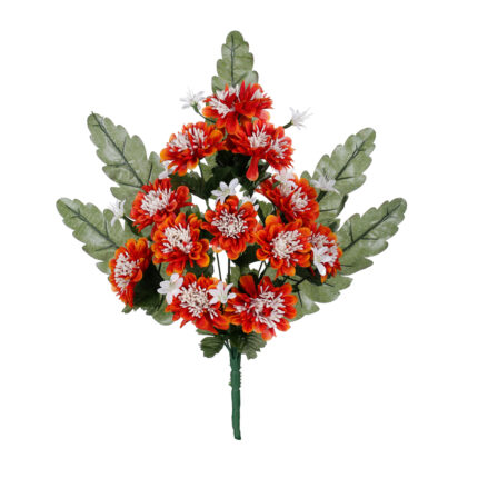 R.ENCARADO MED.ZINNIA SEM.*