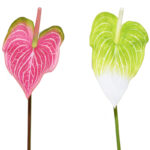 VARA ANTHURIUM SPRAY X1