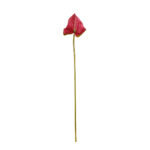 VARA ANTHURIUM SPRAY X1