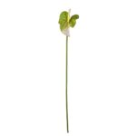 VARA ANTHURIUM SPRAY X1