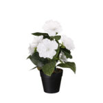 MACETITA PETUNIA *FUXIA