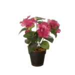 MACETITA PETUNIA *FUXIA