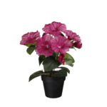 MACETITA PETUNIA *FUXIA