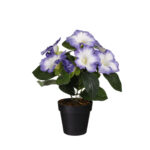 MACETITA PETUNIA *FUXIA