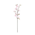 VARA MINI MAGNOLIA SPRAY