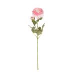 V.RANUNCULUS SPRAY *FUXIA