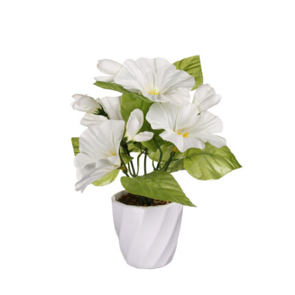 MACETA PEQUEÑA PETUNIA *FUXIA