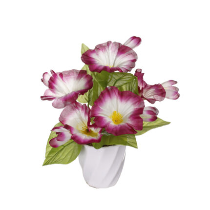 MACETA PEQUEÑA PETUNIA *FUXIA