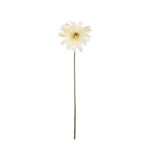 V.GERBERA MEDIA X1 *CREMA