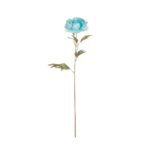 V.PEONIA X1
