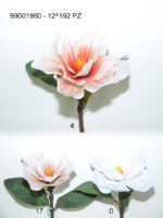 V.MAGNOLIA X1 NATURAL *FUXIA