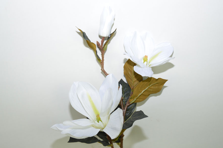 V.MAGNOLIA NUEVA *FUXIA