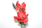 V.MAGNOLIA NUEVA *FUXIA
