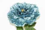 VARA PEONYA *AZUL