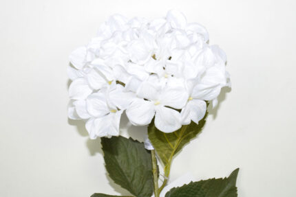 VARA HORTENSIA SPRAY