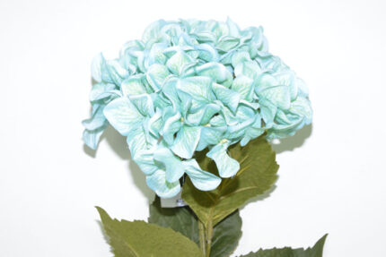 VARA HORTENSIA SPRAY