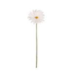 GERBERA GIGANTE *BLANCO