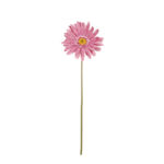 GERBERA GIGANTE *BURDEOS