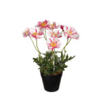 MACETITA PRIMOLA *ROSA