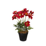 MACETITA PRIMOLA *ROJO