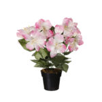 MACETITA ASTROMELIA *ROSA
