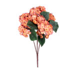 R.HORTENSIAS TACTO NATURAL *SALMON