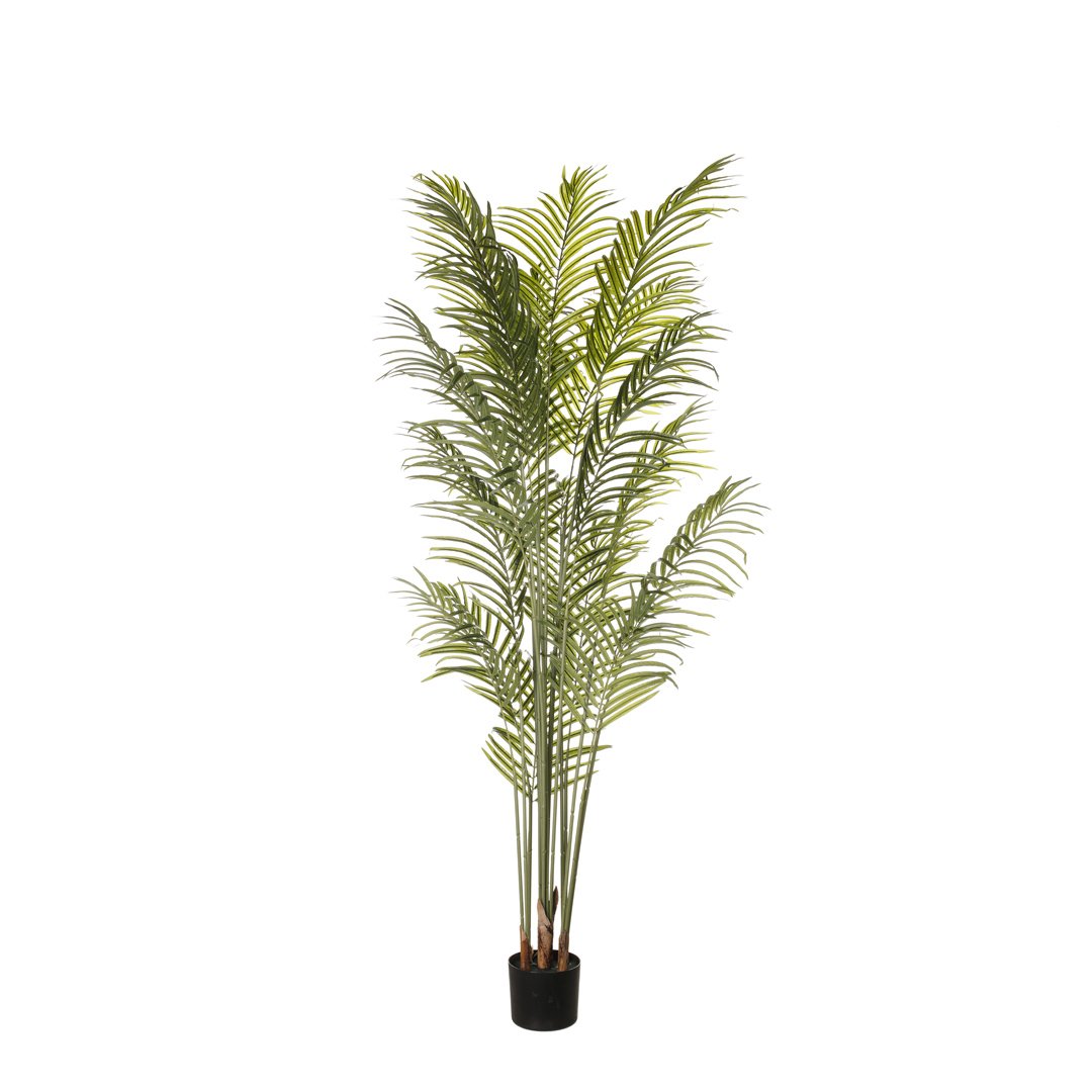 99005015-19.jpg PHOENIX 180CM *V.OSCURO