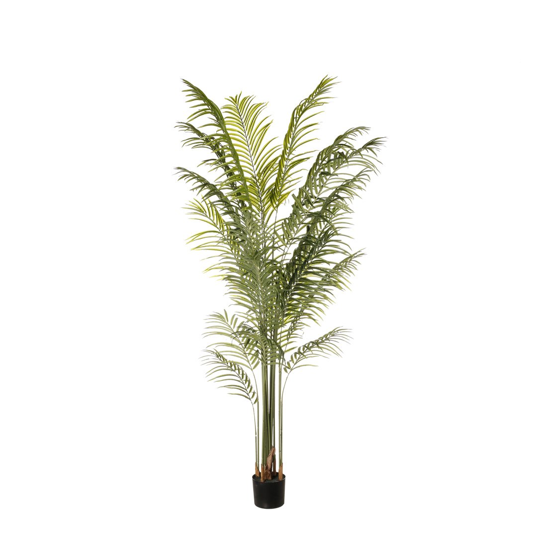 99005016-19.jpg PHOENIX 200CM *V.OSCURO